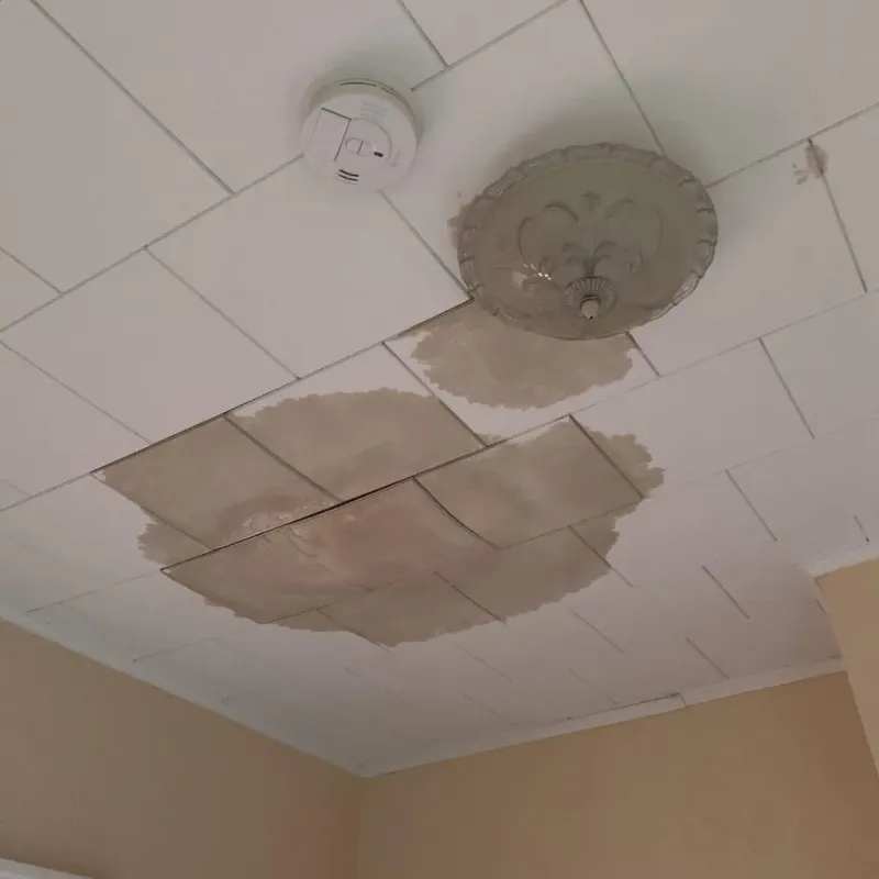 Ceiling Water Damage Repair in Mishicot, WI