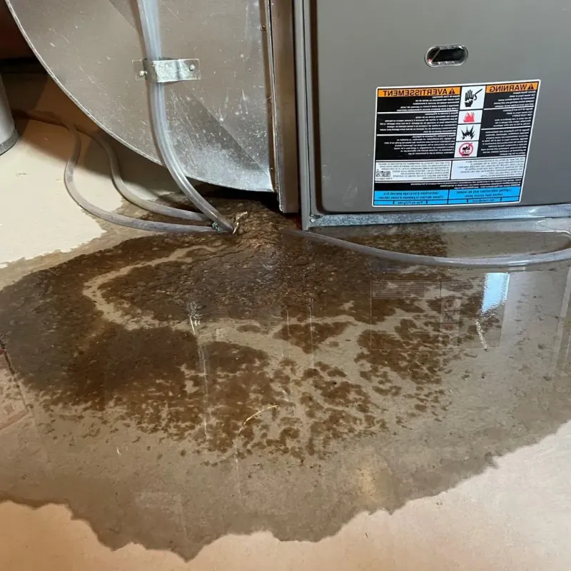 Pipe Burst and Leak Restoration in Mishicot, WI